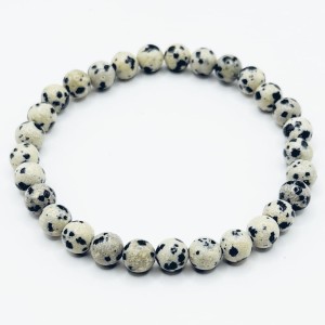 a9f82c6ea00ac8c8db8a5664ff708434