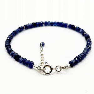 b0a513b09d7c992a26cedc39dc621c77