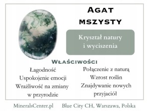 c9b45163cac692fbdba4c15ab3985d5c