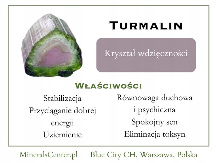 ea555ea9bf83bea4054074f86bfee7fc