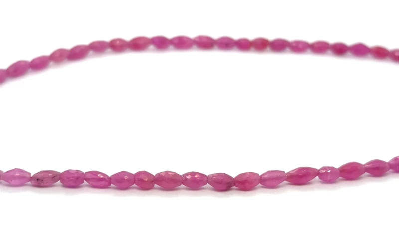 WhatsApp Image 2026-04-02 at 20.21.45.jpeg