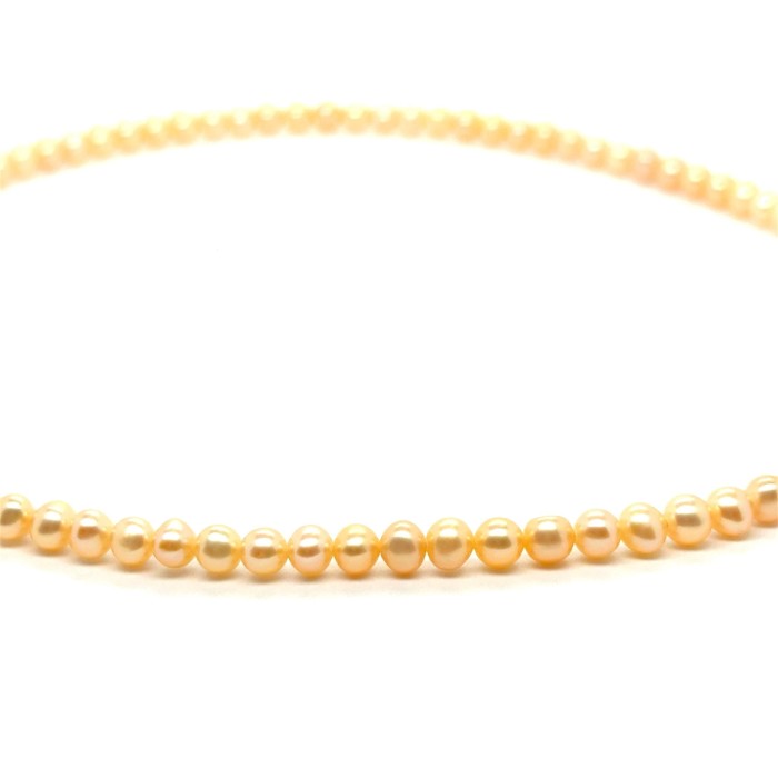 WhatsApp Image 2026-04-19 at 23.33.51 (1).jpeg