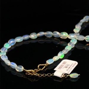 WhatsApp Image 2026-04-19 at 23.36.37 (3).jpeg