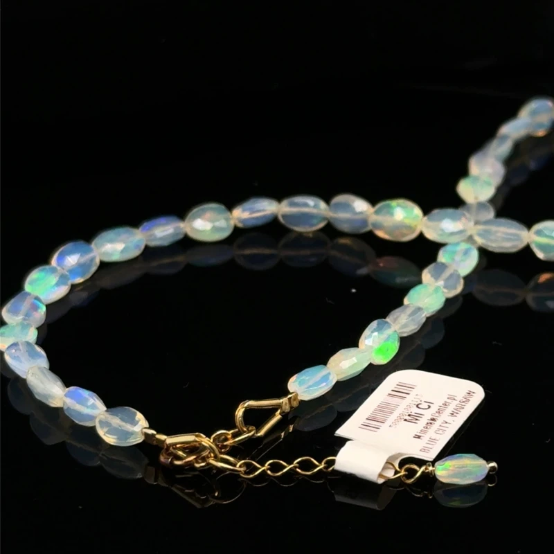 WhatsApp Image 2026-04-19 at 23.36.37 (3).jpeg