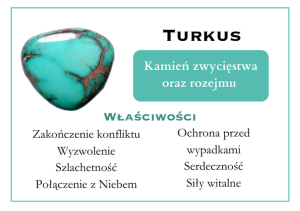 Turkus (2).png