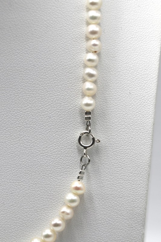 7c4e85e9a2dd33cc33bd93e9bd253255