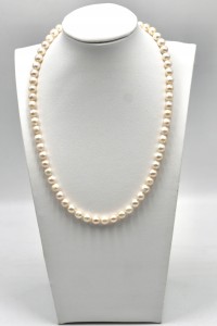 d4917602a9b5455308f1752a2274426c