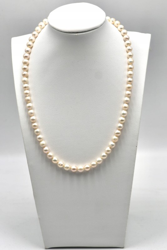 d4917602a9b5455308f1752a2274426c