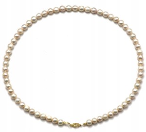 f89b80204f15de81d68b9cabf320e1df