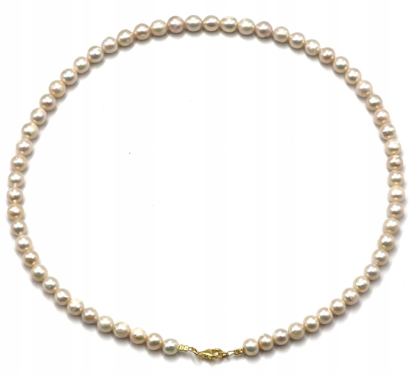 f89b80204f15de81d68b9cabf320e1df