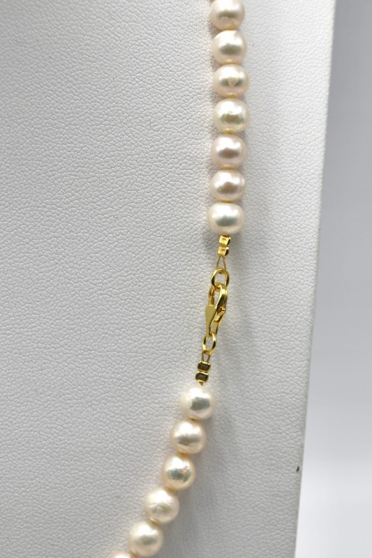 1550be3747dd4993c41eaea437c6a65d