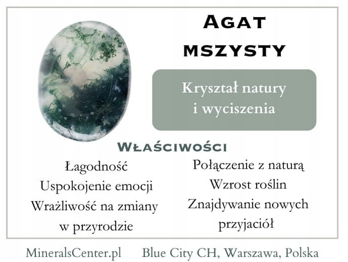 06f157d4f886b23612334e04a65e5769